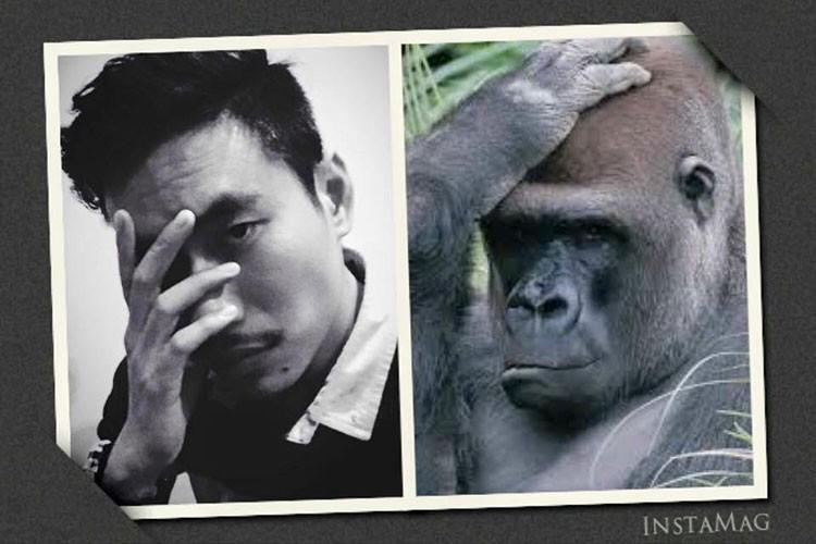 Loạt sao Việt khóc không ra tiếng khi bị Trấn Thành biến thành tranh vui vẽ hỏng-13