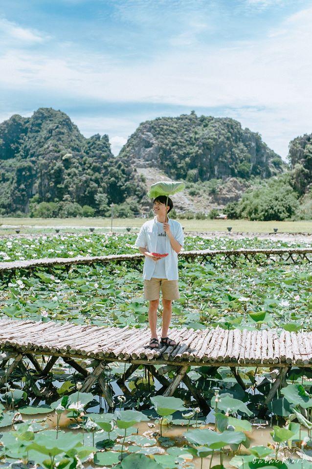 Đâu chỉ con gái chụp sen mới đẹp, chàng trai chơi lớn tung bộ ảnh như chàng thơ ở Ninh Bình-3