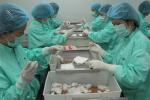 Việt Nam sắp thử nghiệm vaccine ngừa Covid-19 trên người