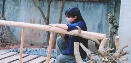 Hashtag tẩy chay Bếp Trên Đỉnh Đồi đứng đầu hot search Weibo sau vụ đạo nhái Lý Tử Thất-4