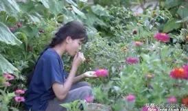 Hashtag tẩy chay Bếp Trên Đỉnh Đồi đứng đầu hot search Weibo sau vụ đạo nhái Lý Tử Thất-7