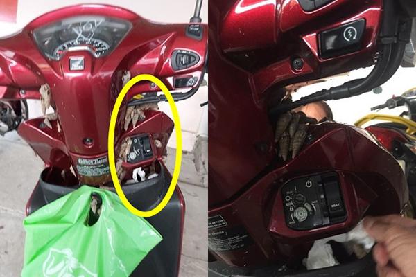 Đang lưu thông trên đường, chủ xe mất hết hồn vía khi thấy bé Na đu bám ngay sát cửa-8