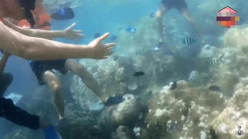 Phạm Quỳnh Anh - Quang Vinh dẫm đạp lên san hô khi lặn biển-5