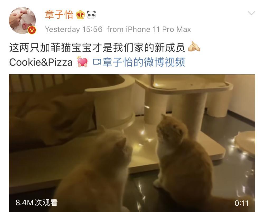 Chương Tử Di lên tiếng sau bức ảnh như mang thai lần 3 dù sinh con mới được 6 tháng-5