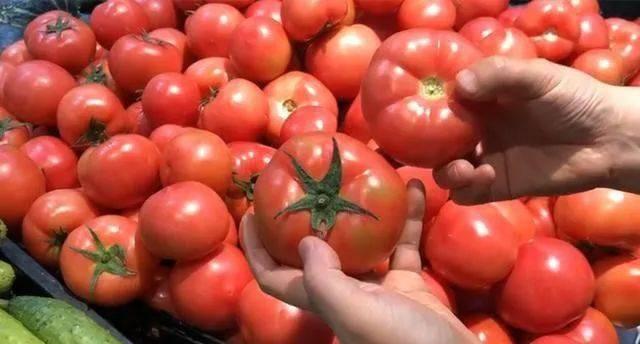 Khi mua cà chua, nhìn vào 3 điểm thấy điều này thì mua ngay, người bán rau phải khen thầm-1