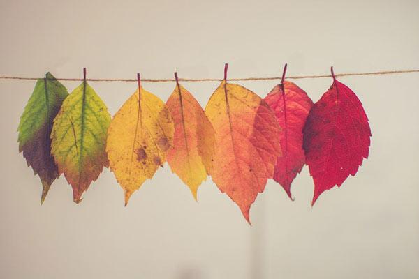 Quý cô sinh tháng âm lịch này, cả đời hưởng trọn vinh hoa, nửa cuối năm 2020 sự nghiệp thuận lợi kéo theo tài vận dồi dào đến năm sau-4