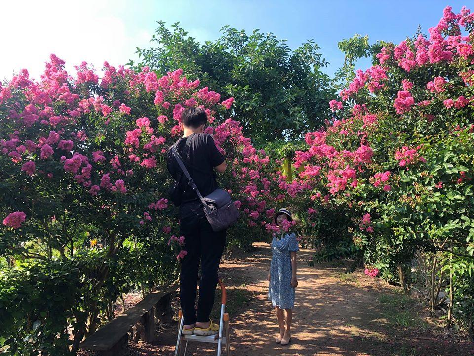 Giới trẻ xao xuyến trước con đường hoa tường vi lãng mạn như ngôn tình giữa lòng Hà Nội-4