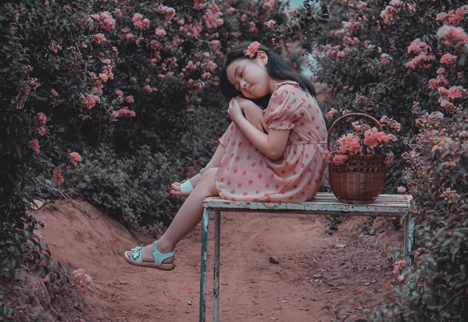 Giới trẻ xao xuyến trước con đường hoa tường vi lãng mạn như ngôn tình giữa lòng Hà Nội-10