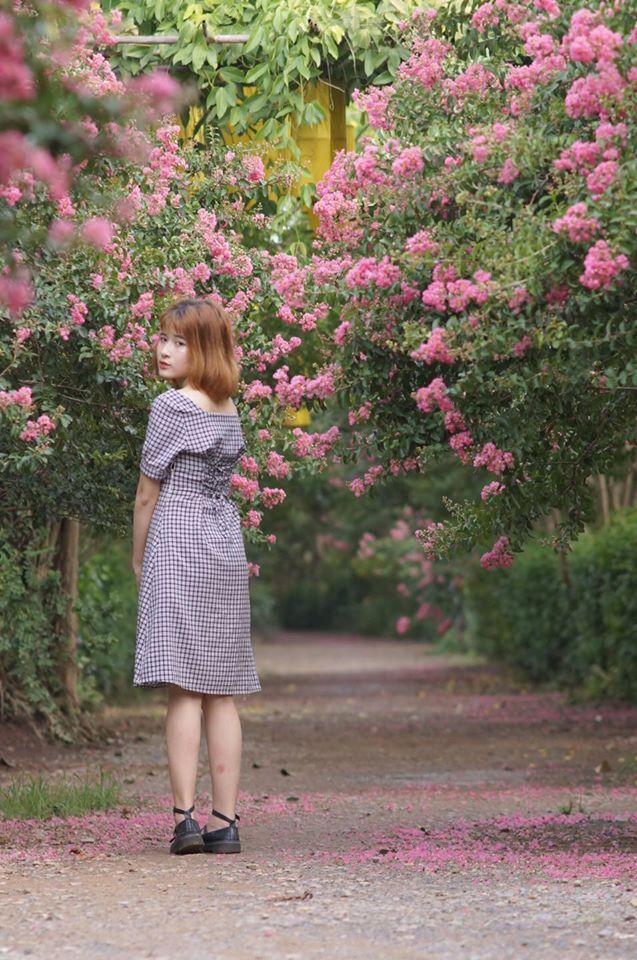 Giới trẻ xao xuyến trước con đường hoa tường vi lãng mạn như ngôn tình giữa lòng Hà Nội-11