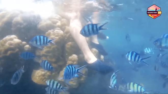 Phạm Quỳnh Anh xin lỗi vì ngồi lên san hô: Sai là sai, không bào chữa-2