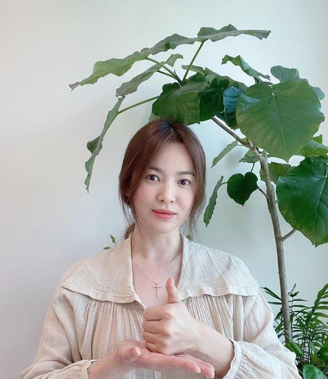 Tình bạn ít người biết của Song Hye Kyo và sao nữ Ký sinh trùng-3