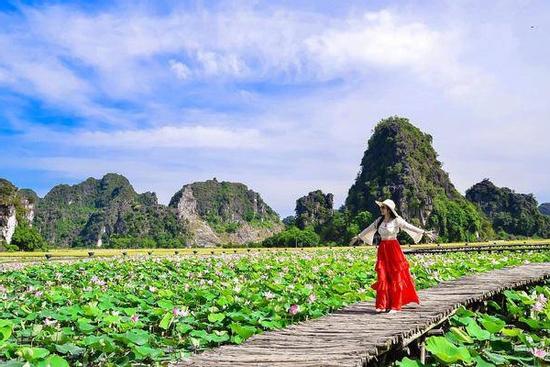 Đầm sen Ninh Bình nở đẹp rực rỡ, chị em lên lịch 'bung lụa' cuối tuần