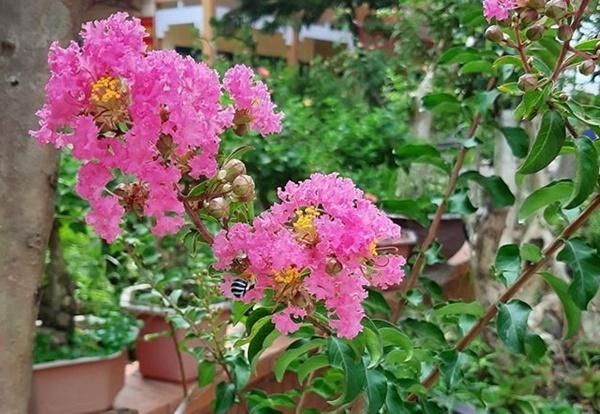 Đêm tân hôn, mẹ chồng gay gắt đòi giữ vàng cưới-1