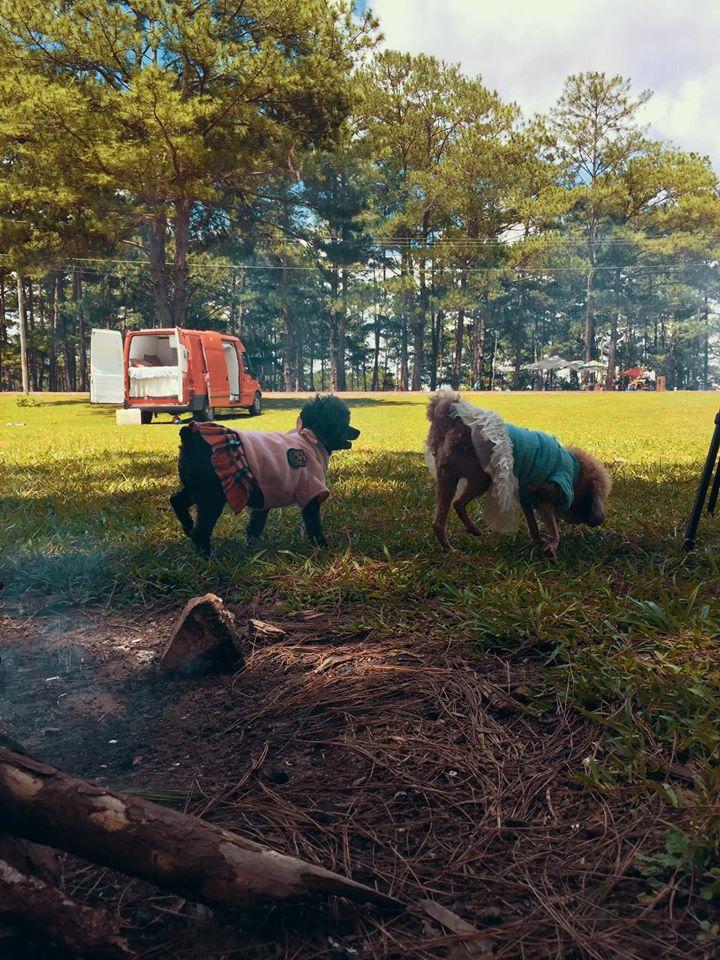 Cặp vợ chồng biến ô tô cũ trở thành khách sạn di động vi vu đó đây-9