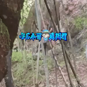 SỐC: Người ê kíp phim Hạo Y Hành ra tay đánh fan túi bụi-3