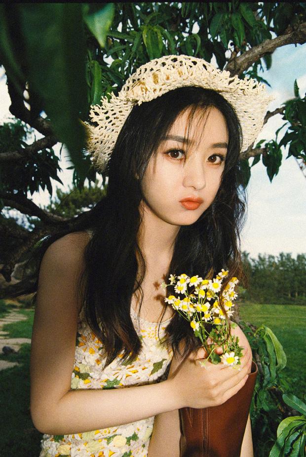 Triệu Lệ Dĩnh liên tục bị tố bắt chước Dương Mịch-2