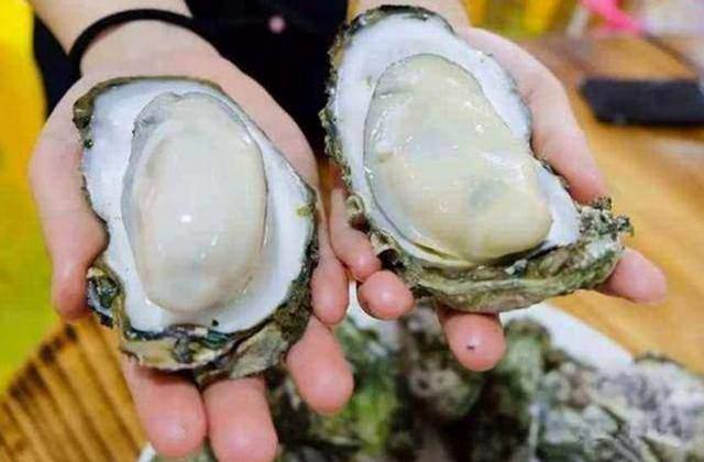 Mua hàu, chọn những con có đặc điểm này đảm bảo tươi ngon, nhiều thịt ăn đã miệng-2