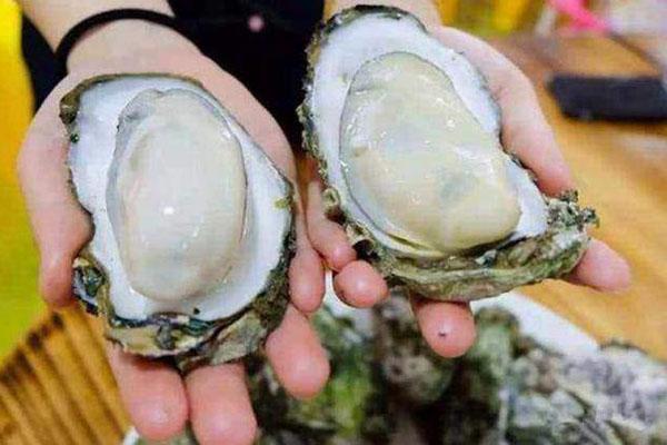 Hóa giải nỗi sợ tách vỏ hàu bằng tuyệt chiêu này-5
