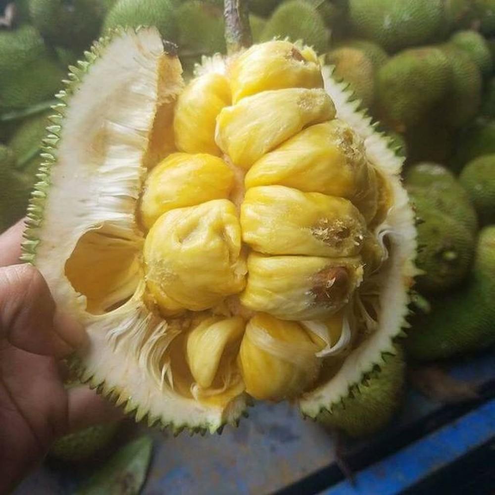 Tin lời người bán mít tố nữ múi nào ra múi nấy và rồi nhận cái kết siêu hài hước-4