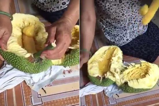 Tin lời người bán mít tố nữ múi nào ra múi nấy và rồi nhận cái kết siêu hài hước