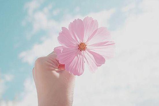 Tử vi thứ Ba ngày 7/7/2020 của 12 con giáp: Tý nên chăm chỉ hơn, Dần tình duyên tốt đẹp