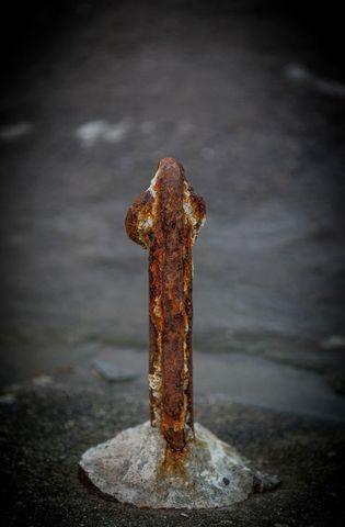 Phụ nữ 2 âm đạo, nam giới 2 dương vật: Những người có cơ quan sinh dục kỳ lạ-1