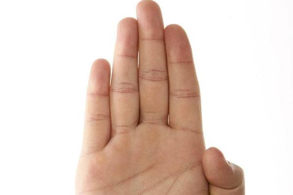 3 con giáp chắc chắn đếm tiền không xuể sau tuổi 30 nếu làm kinh doanh-4