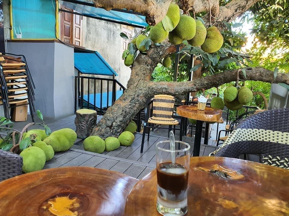 Truy lùng quán cà phê mít ở Tuyên Quang, nghe tên đã thấy thơm lừng-1