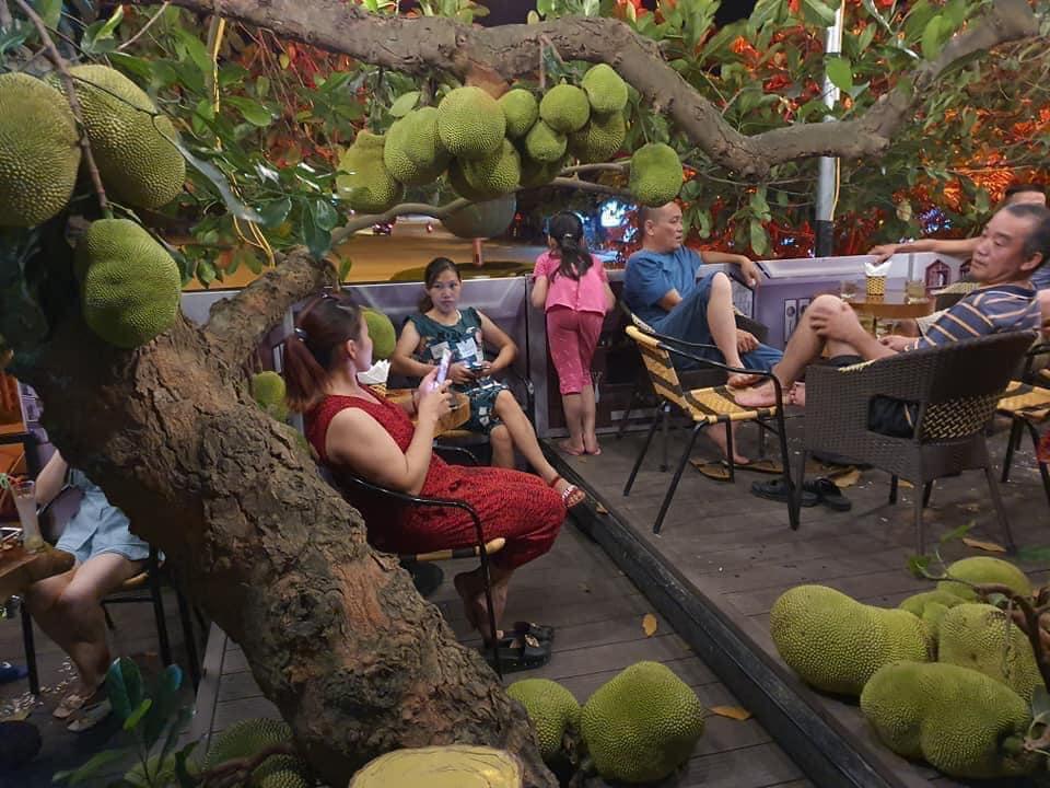 Truy lùng quán cà phê mít ở Tuyên Quang, nghe tên đã thấy thơm lừng-3