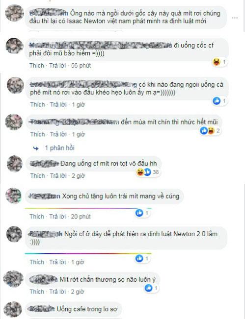 Truy lùng quán cà phê mít ở Tuyên Quang, nghe tên đã thấy thơm lừng-5