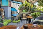 Truy lùng quán 'cà phê mít' ở Tuyên Quang, nghe tên đã thấy thơm lừng