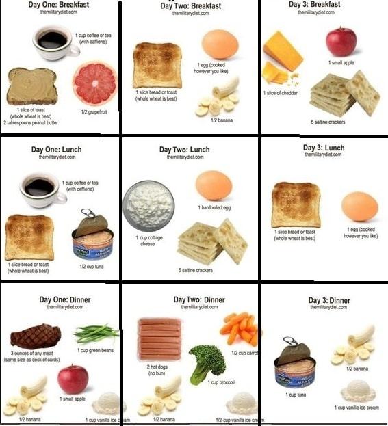 Tự tin diện bikini với thực đơn ăn kiêng kiểu quân đội, giảm 5kg chỉ trong 1 tuần-2