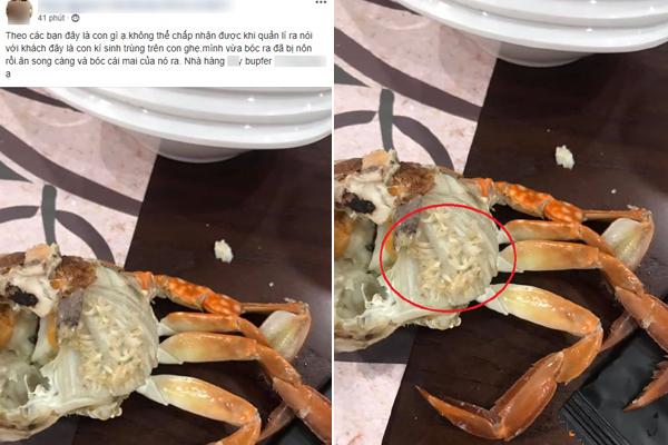 Nhìn hũ mắm chứa đàn dòi bò ngoe nguẩy, người bảo thế mới ngon, kẻ sởn da gà-3