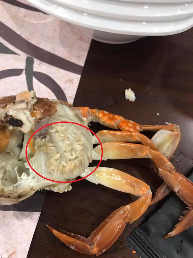 Bóc phốt nhà hàng bẩn có dòi trong ghẹ, thực khách bị lật mặt đến mức xóa bài đăng-2