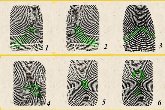 5 giây nhìn ngón trỏ tay phải, biết ngay ai có tướng làm lãnh đạo