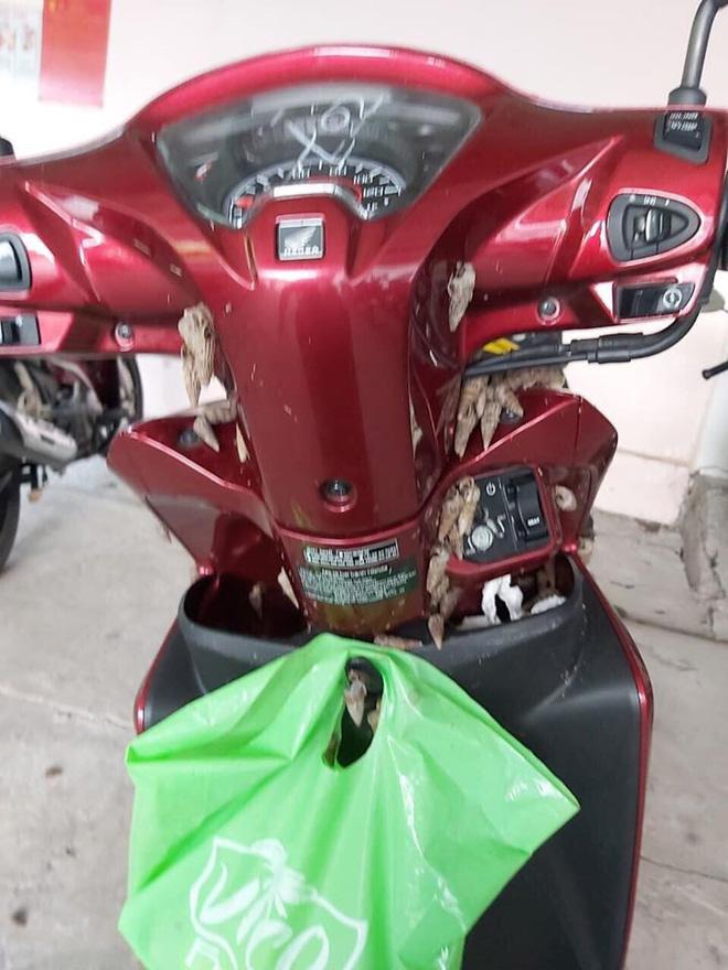 Đang lưu thông trên đường, chủ xe mất hết hồn vía khi thấy bé Na đu bám ngay sát cửa-3