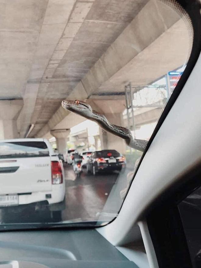 Đang lưu thông trên đường, chủ xe mất hết hồn vía khi thấy bé Na đu bám ngay sát cửa-1