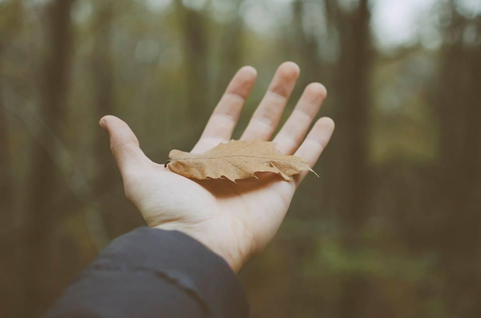 Tử vi thứ Sáu ngày 10/7/2020 của 12 con giáp: Tỵ ăn nên làm ra, Mùi tiểu nhân hãm hại-1