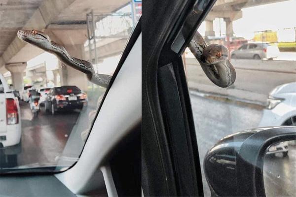 Đỗ xe qua đêm bị người lạ làm bẩn, chủ xe liền chửi xéo với nội dung sốc-4