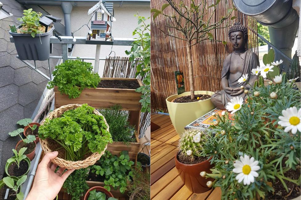 Góc ban công cực chill, mang đậm bóng dáng Hà Nội của cặp vợ chồng ở Đức-3