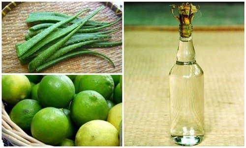 Công thức tự làm nha đam ngâm rượu tại nhà để đẩy lùi lão hóa-1