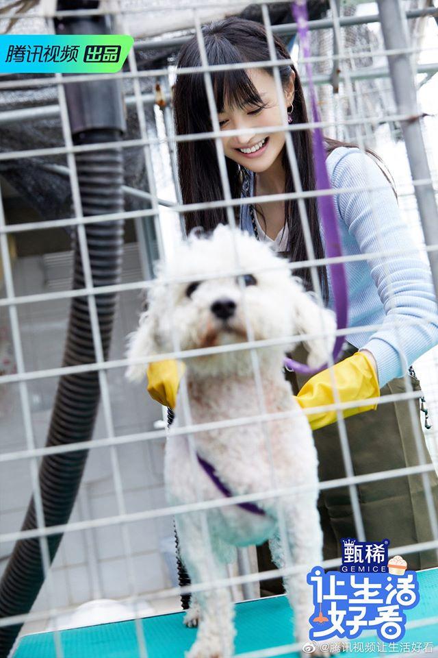 Trịnh Sảng khẳng định phim thần tượng là giả dối, vỗ mặt những cô gái bị tẩy não vì soái ca-5