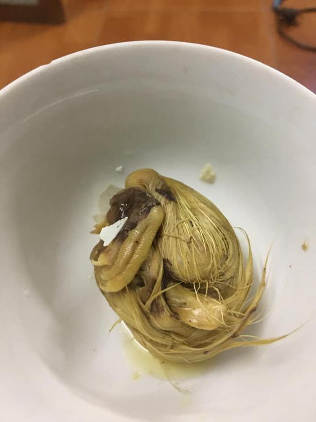 Tai nạn trứng vịt lộn khiến người ghiền đến mấy cũng xin là chạy đứt dép-1