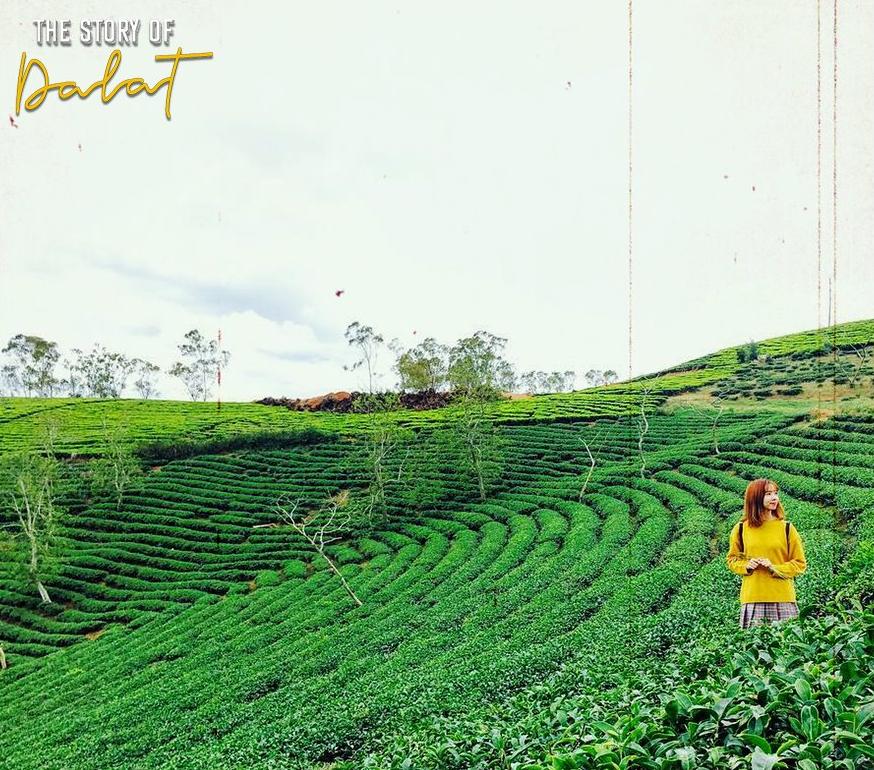 Đà Lạt với 45 điều dễ thương đáng thử, đọc xong sẽ càng háo hức muốn đến ngay!-3