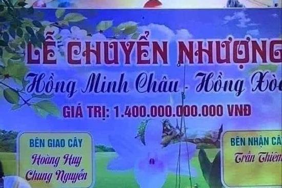 Sự thật 'ngã ngửa' về cây lan đột biến hồng minh châu có giá 1.400 tỷ đồng