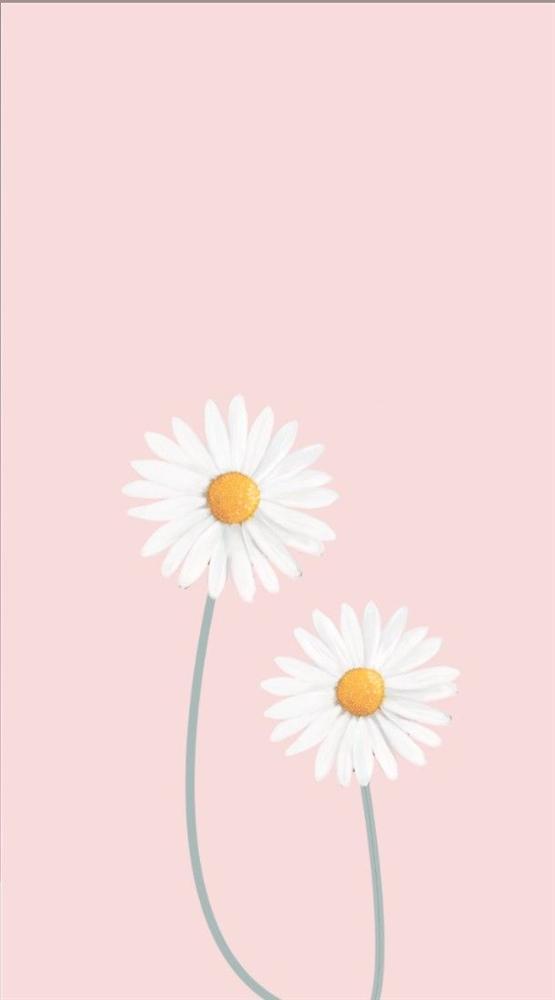 Tử vi thứ 7 ngày 11/7/2020 của 12 con giáp: Tý cuối tuần bình yên, Thân sẽ được tỏ tình-3