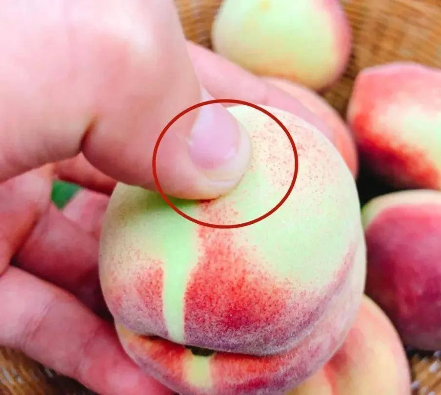 Giờ mới biết, mua đào cũng phải phân biệt quả đực hay cái, nhiều người mua nhầm nên bị chua-4