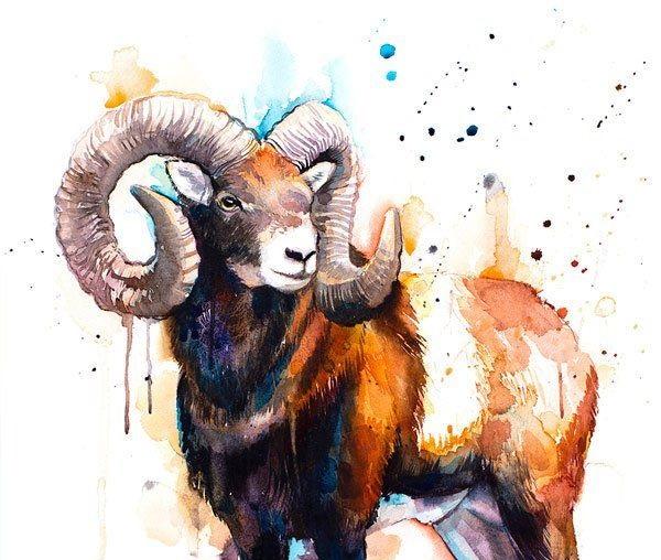 Khuyết điểm chí mạng của 3 con giáp này khiến họ đánh mất nhiều hơn họ nghĩ-2