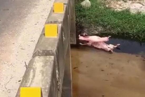 Mất tích sau lễ tổng kết năm học, thi thể nữ sinh lớp 11 được tìm thấy dưới mương nước