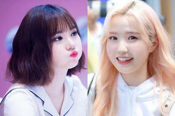 Những Idol Hàn má bánh bao không cần Vline vẫn khiến fan đổ rạp-1